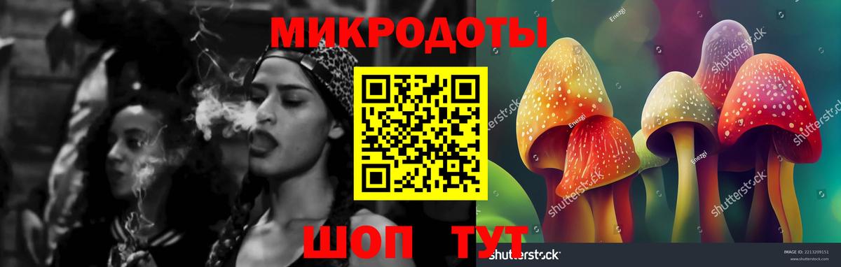 Галлюциногенные грибы GOLDEN TEACHER Котлас